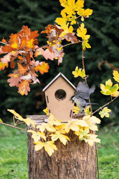 ECO HOME - Vogelhaus